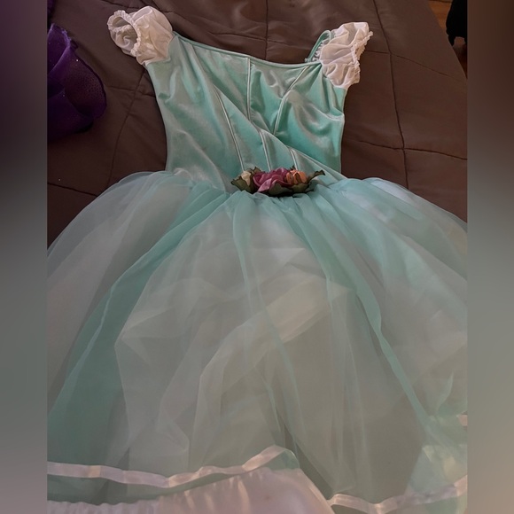 Like new Adult medium ballet costume and barette - Picture 1 of 16